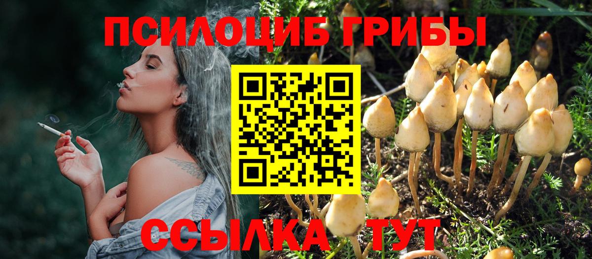 Котельники  Галлюциногенные грибы прущие грибы  Псилоцибиновые грибы Psilocybe  Вход с VPN 